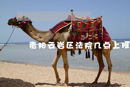 贵阳云岩区法院几点上班 贵阳云岩区法院几点上班