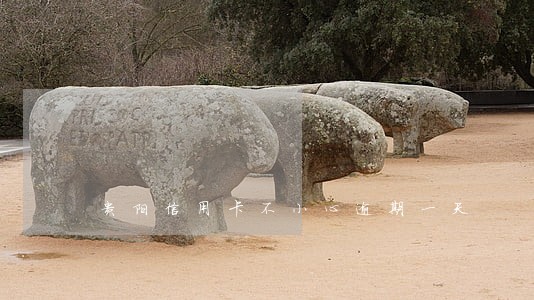 贵阳信用卡不小心逾期一天 贵阳信用卡不小心逾期一天