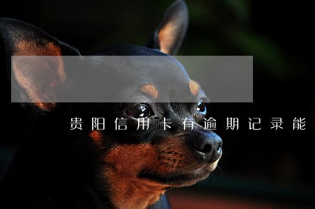 贵阳信用卡有逾期记录能贷款吗 贵阳信用卡有逾期记录能贷款吗