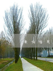 贵阳信用卡逾期3个月了怎么办 贵阳信用卡逾期3个月了怎么办