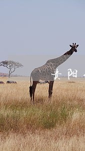贵阳信用卡逾期一天多少钱 贵阳信用卡逾期一天多少钱