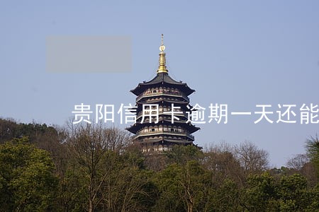 贵阳信用卡逾期一天还能分期吗 贵阳信用卡逾期一天还能分期吗