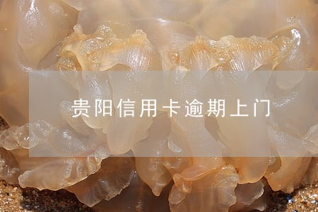 贵阳信用卡逾期上门 贵阳信用卡逾期上门