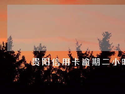 贵阳信用卡逾期二小时
