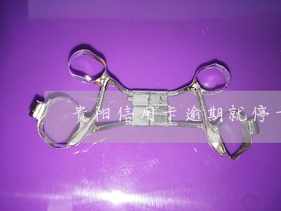 贵阳信用卡逾期就停卡 贵阳信用卡逾期就停卡