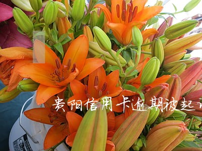 贵阳信用卡逾期被起诉怎么办