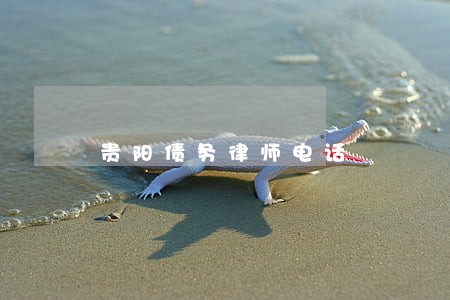 贵阳债务律师电话 贵阳债务律师电话