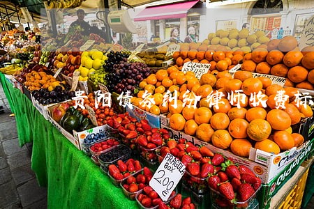 贵阳债务纠纷律师收费标准 贵阳债务纠纷律师收费标准