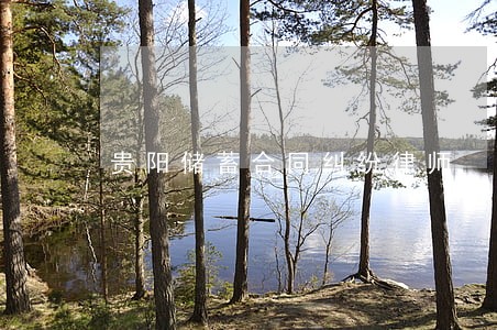 贵阳储蓄合同纠纷律师 贵阳储蓄合同纠纷律师