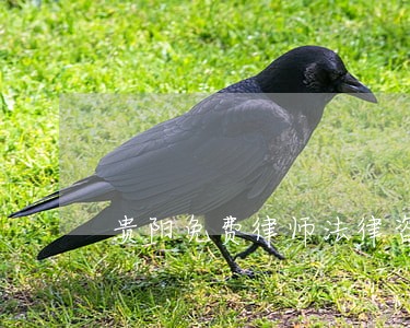 贵阳免费律师法律咨询 贵阳免费律师法律咨询