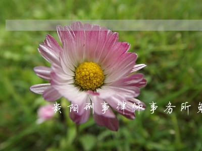 贵阳刑事律师事务所免费咨询 贵阳刑事律师事务所免费咨询
