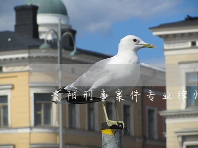 贵阳刑事案件专业律师 贵阳刑事案件专业律师