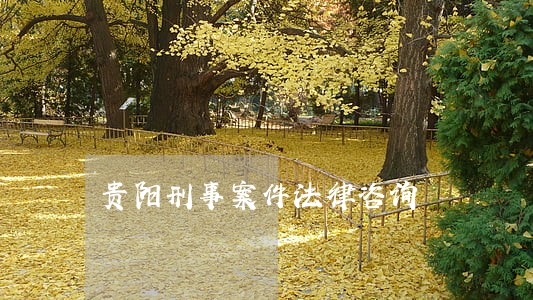 贵阳刑事案件法律咨询 贵阳刑事案件法律咨询