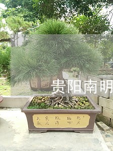 贵阳南明区法律援助中心电话