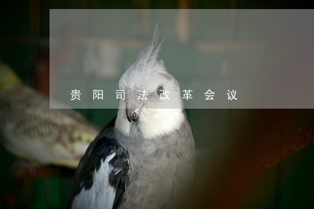 贵阳司法改革会议