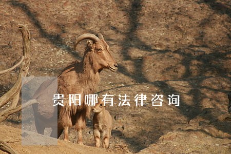贵阳哪有法律咨询 贵阳哪有法律咨询