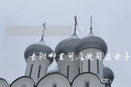 贵阳哪里可以做司法亲子鉴定