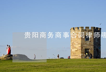 贵阳商务商事合同律师哪个好 贵阳商务商事合同律师哪个好