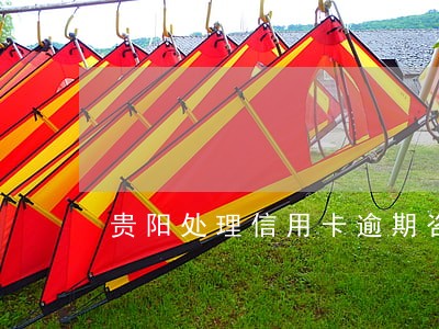 贵阳处理信用卡逾期咨询公司