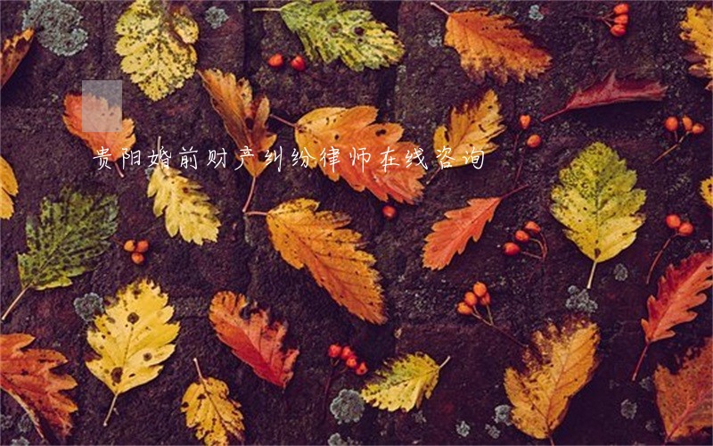贵阳婚前财产纠纷律师在线咨询 贵阳婚前财产纠纷律师在线咨询