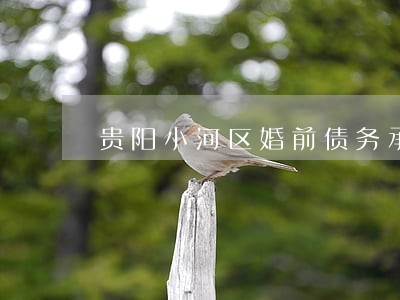 贵阳小河区婚前债务承担律师 贵阳小河区婚前债务承担律师