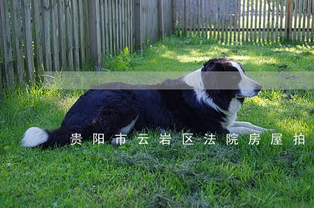 贵阳市云岩区法院房屋拍卖 贵阳市云岩区法院房屋拍卖