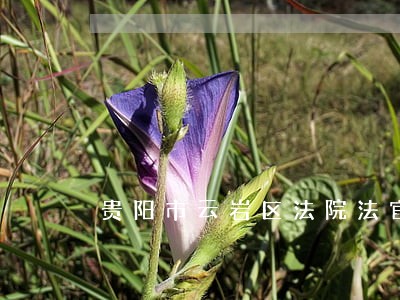 贵阳市云岩区法院法官虞纪恒