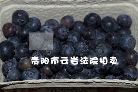 贵阳市云岩法院拍卖 贵阳市云岩法院拍卖