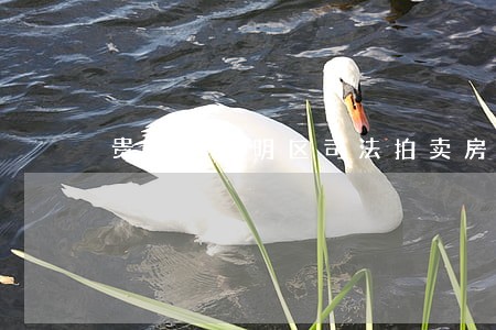 贵阳市南明区司法拍卖房产