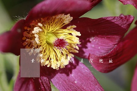 贵阳市南明法院地址