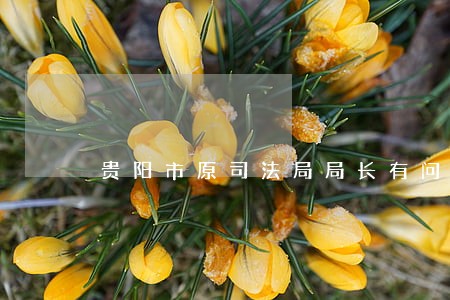 贵阳市原司法局局长有问题吗 贵阳市原司法局局长有问题吗