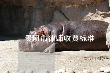 贵阳市律师收费标准 贵阳市律师收费标准