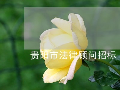 贵阳市法律顾问招标 贵阳市法律顾问招标