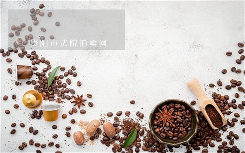 贵阳市法院拍卖网 贵阳市法院拍卖网