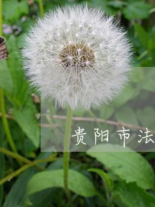 贵阳市法院街市政府宿舍出租