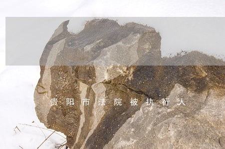 贵阳市法院被执行人