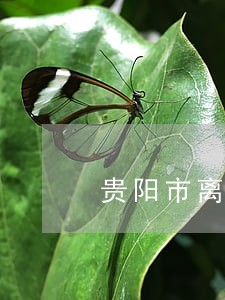 贵阳市离婚房产律师 贵阳市离婚房产律师