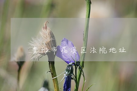 贵阳市花溪区法院地址 贵阳市花溪区法院地址