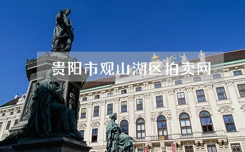 贵阳市观山湖区拍卖网 贵阳市观山湖区拍卖网