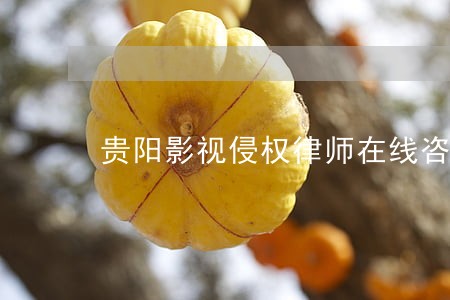 贵阳影视侵权律师在线咨询 贵阳影视侵权律师在线咨询