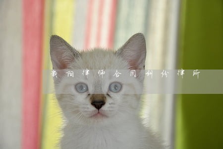 贵阳律师合同纠纷律所 贵阳律师合同纠纷律所