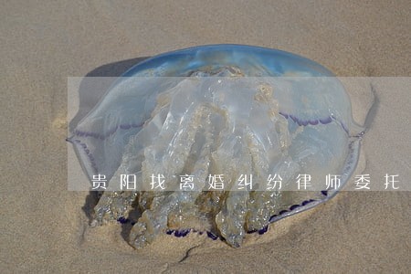 贵阳找离婚纠纷律师委托费用
