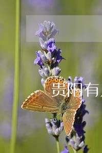 贵阳有几家司法鉴定所 贵阳有几家司法鉴定所