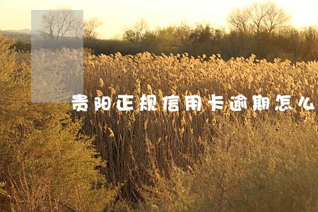 贵阳正规信用卡逾期怎么修复 贵阳正规信用卡逾期怎么修复