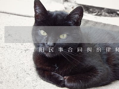 贵阳民事合同纠纷律师