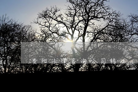 贵阳法律咨询公司转让 贵阳法律咨询公司转让