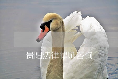 贵阳法律律师咨询 贵阳法律律师咨询