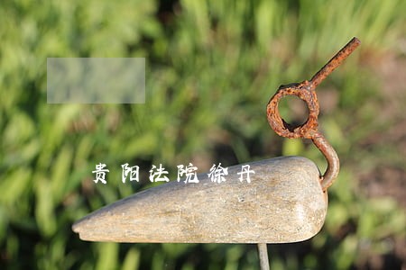 贵阳法院徐丹 贵阳法院徐丹