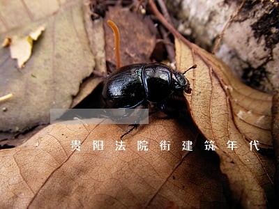 贵阳法院街建筑年代 贵阳法院街建筑年代