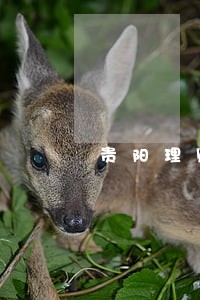 贵阳理财合同纠纷律师 贵阳理财合同纠纷律师